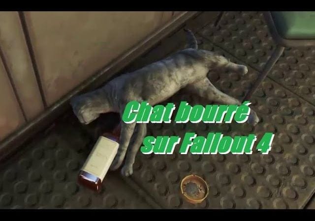 Chat bourré sur Fallout 4