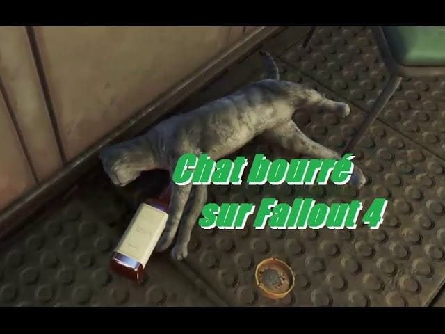Chat bourré sur Fallout 4