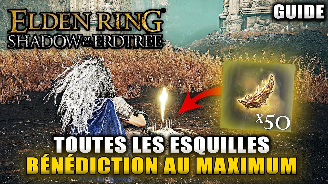 ELDEN RING Shadows of Erdtree Toutes les ESQUILLES DE L