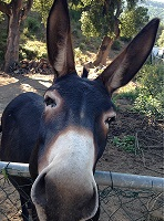 photo de profil de zouzouland