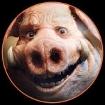 photo de profil de pabolejojo