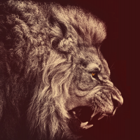 photo de profil de marrechalV