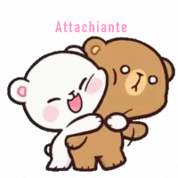 photo de profil de Attachiante