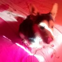 photo de profil de Roscas_47