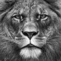photo de profil de Bugor
