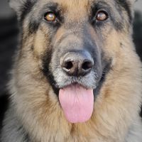 photo de profil de Benjanicisse