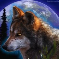 photo de profil de Cid__01