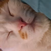 photo de profil de Shadon1701