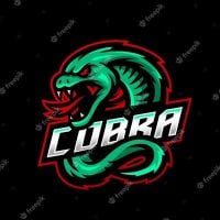 photo de profil de Cobra gameur