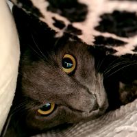 photo de profil de SmaxX