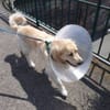 CaskSombrero