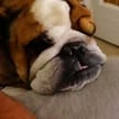 photo de profil de hbouti