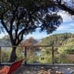 photo de profil de Sinox-311