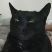 photo de profil de Ourschanmay