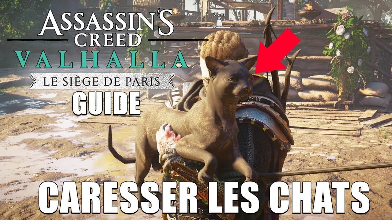 Assassin's Creed Valhalla Emplacement de TOUS les CHATS D'ÉVREUX