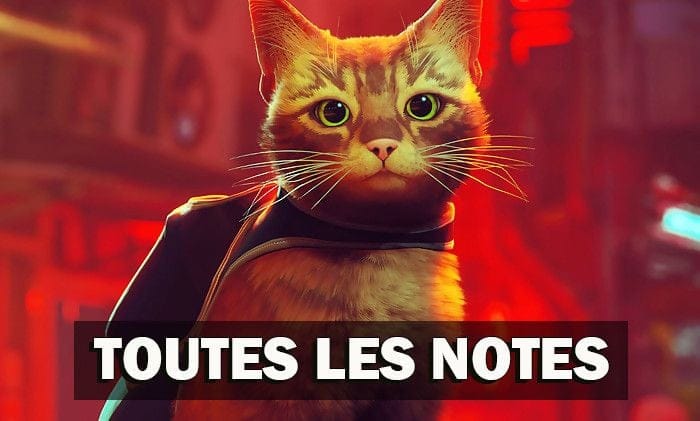 Test Stray : le petit chat de la PS5 a séduit la presse, toutes les notes dans le monde
