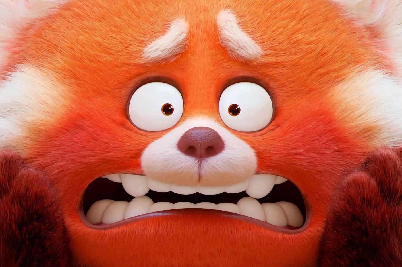 Alerte Rouge, le prochain Pixar, zappe la sortie cinéma et sera visible sur Disney+ dès le 11 mars