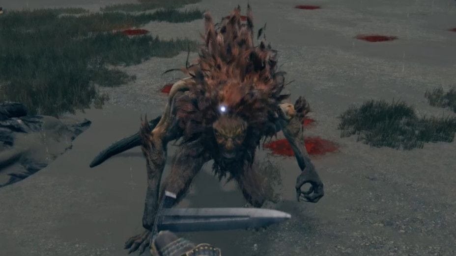 Chimère léonine Elden Ring : Walkthrough de Château de Vent ...