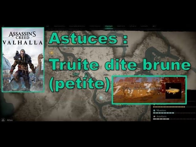 Astuces : Truite dite brune (petite) - Assassin's Creed® Valhalla (PS4)