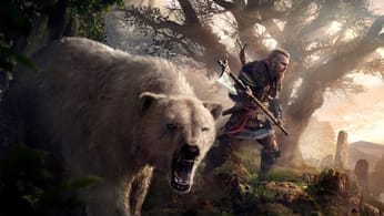 Assassin's Creed : Il finit les 12 jeux de la série à la suite, sans se faire toucher