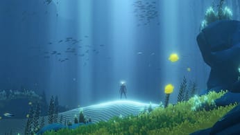 Exploration