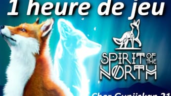 Chez gunjiskan 21 - Spirit of the north