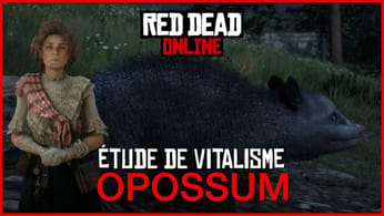 [GUIDE] Se transformer en opossum avec l'étude de vitalisme • Red Dead Online