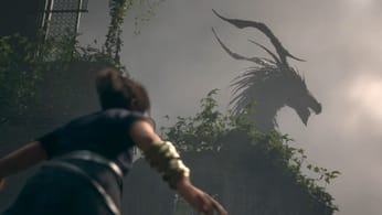 Excellent jeu malgré  les critiques