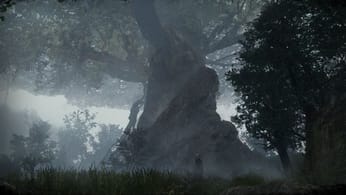 Jeux vidéo