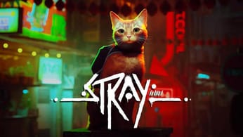 Découverte de Stray ce soir en Live