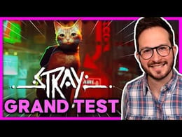 STRAY GRAND TEST 😼 La pépite de l'ÉTÉ ? PS5 I PS4 I PC