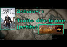 Astuces : Truite dite brune (petite) - Assassin's Creed® Valhalla (PS4)