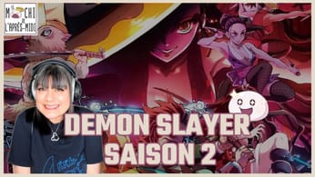 Fastidieuse, la 2e saison de DEMON SLAYER ?
