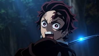 Demon Slayer : la saison 3 s'offre déjà une bande annonce, et elle est magnifique