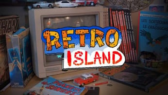 Retro Island - Du logiciel de gestion au triple A vendu par millions, la darksoulisation de FromSoftware