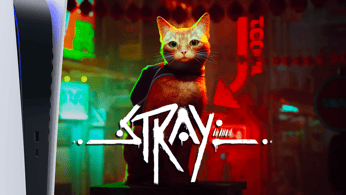 Test Stray : la joie d’incarner notre ami le chat