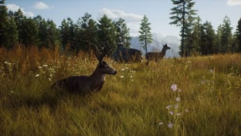Way of the Hunter : Le trailer de la simulation de chasse nouvelle génération