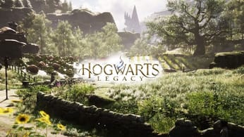 Hogwarts Legacy : Poudlard comme si vous y étiez avec une vidéo ASMR en 4K