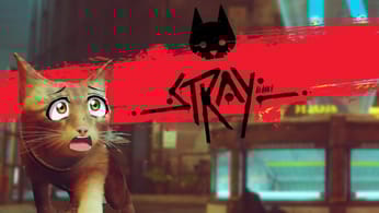 Stray - UN MINOU TROP ACCESSIBLE