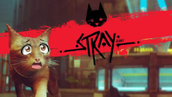 Stray - UN MINOU TROP ACCESSIBLE