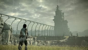 Les trophées - Shadow of the Colossus, soluce, guide, astuces - jeuxvideo.com
