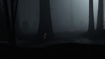 Chapitre 01 : La Forêt (Checkpoints 1 à 6) - Astuces et guides Inside - jeuxvideo.com