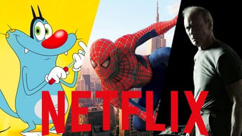 Netflix : 54 films et séries supprimés le 30 novembre 2022. Le catalogue se vide !