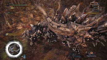 Radobaan - Guide Monster Hunter World - jeuxvideo.com