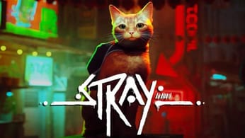 Stray : la soluce complète pour ne pas rater sa vie de chat !  - jeuxvideo.com