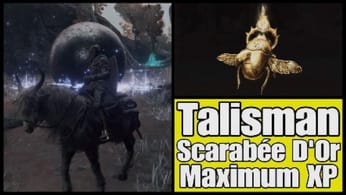 Elden Ring - Où Trouver Talisman Scarabée D'Or / Maximum XP