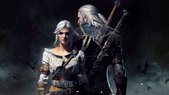 Astuces, tips et solutions « Guide » The Witcher 3 : Wild Hunt