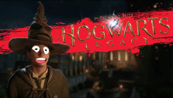 Hogwarts Legacy - JEU DE GAMIN