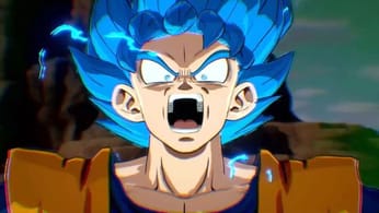 Mon avis sur Dragon Ball Z : Budokai Tenkaichi 4