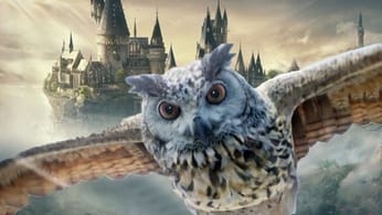 Secrets, anecdotes, easter eggs…Ce qui vous a sans doute échappé dans Hogwarts Legacy !